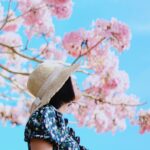 🌸 Tendencias de Moda Primavera 2025: Colores, Estilos y Prendas Clave